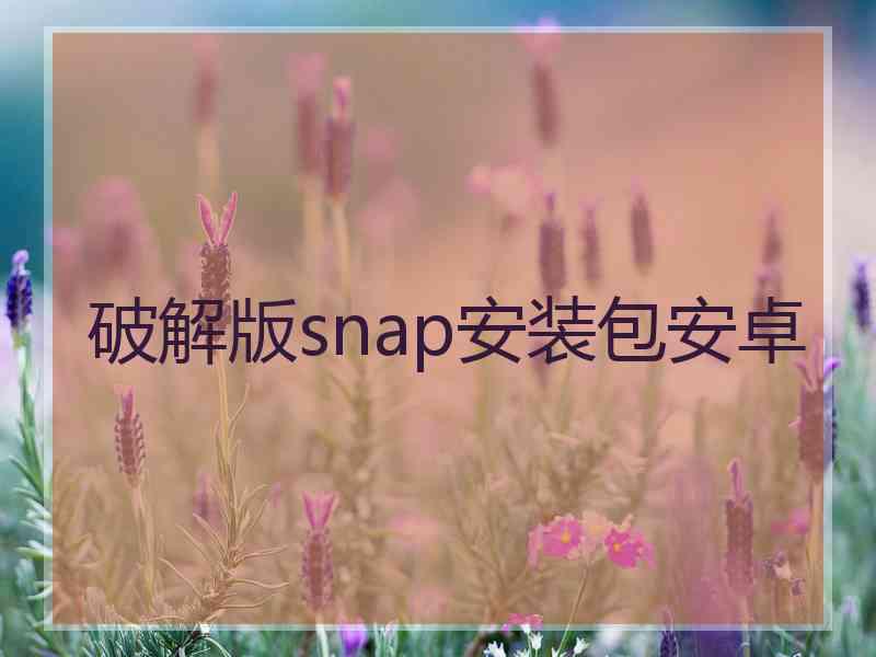 破解版snap安装包安卓