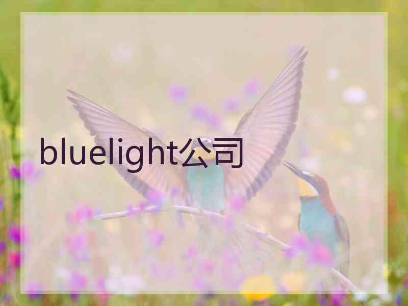 bluelight公司