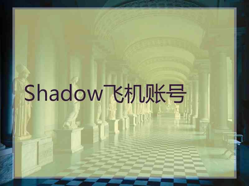 Shadow飞机账号