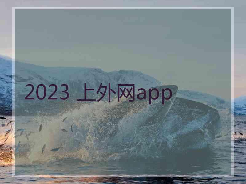 2023 上外网app