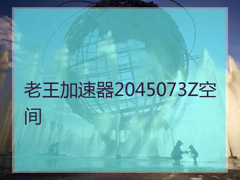 老王加速器2045073Z空间