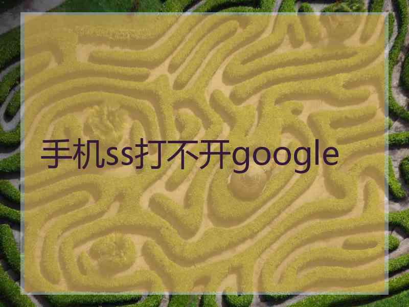 手机ss打不开google