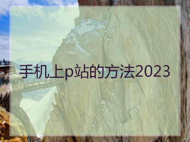 手机上p站的方法2023