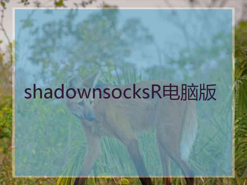 shadownsocksR电脑版