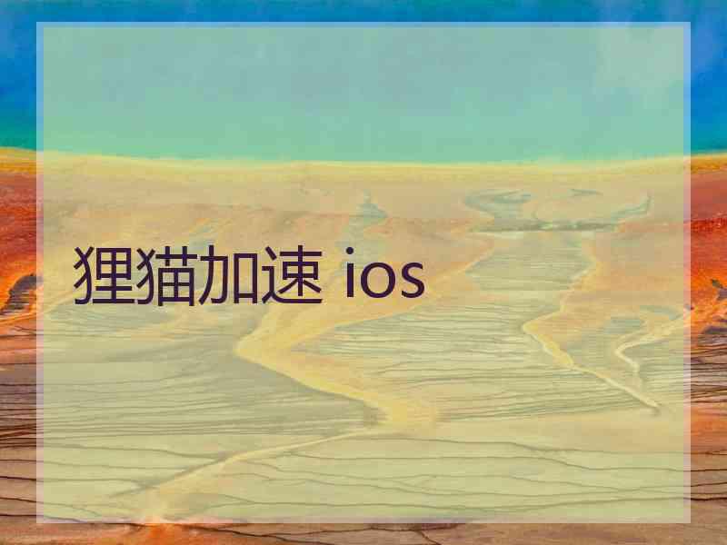 狸猫加速 ios