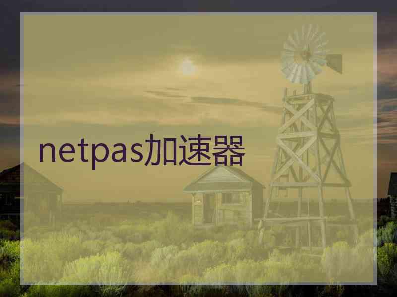 netpas加速器