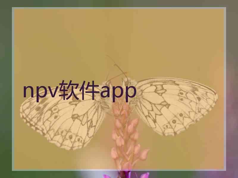 npv软件app