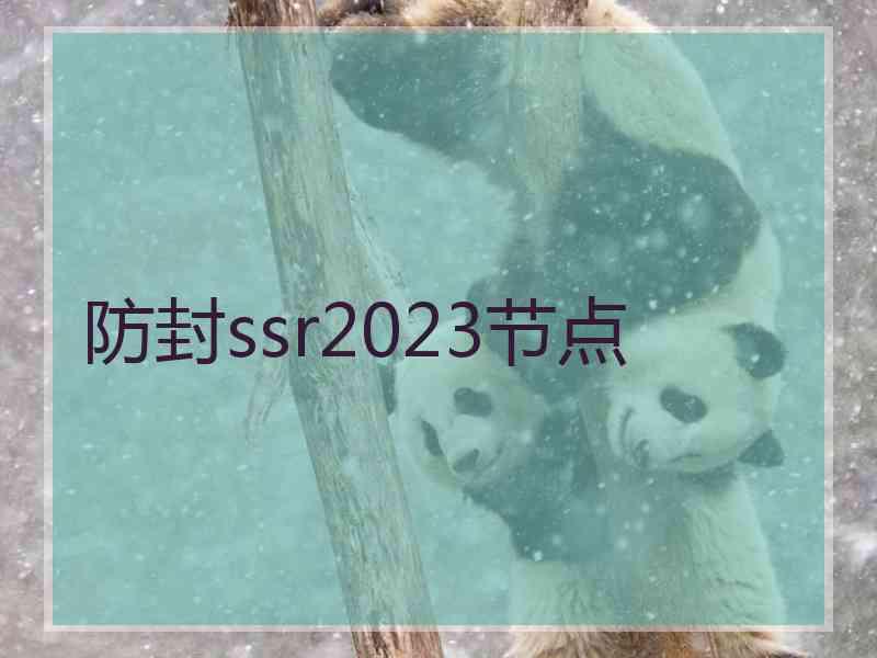 防封ssr2023节点