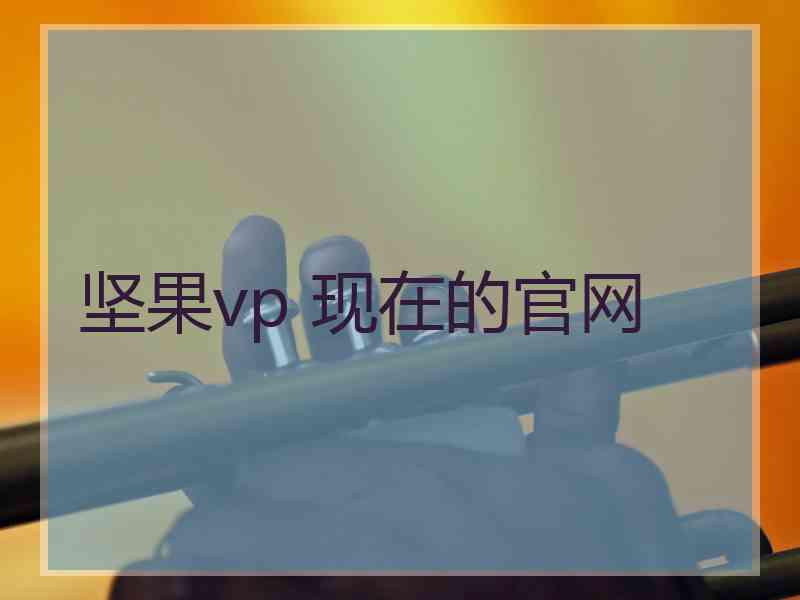 坚果vp 现在的官网