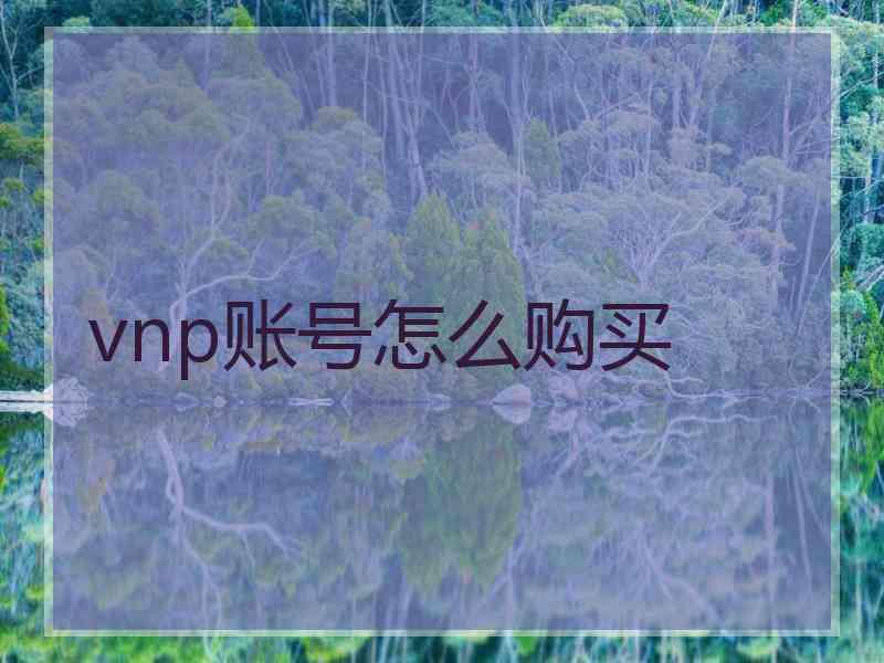 vnp账号怎么购买