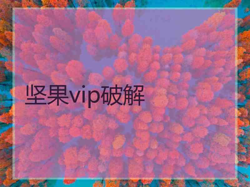 坚果vip破解