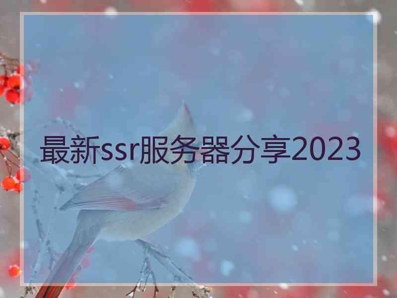 最新ssr服务器分享2023