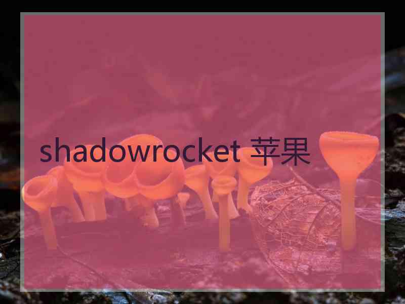 shadowrocket 苹果