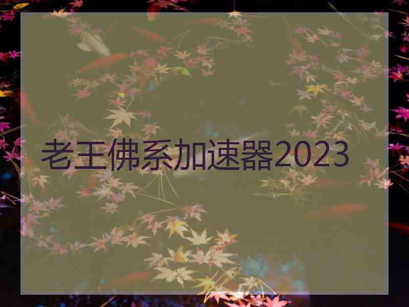 老王佛系加速器2023