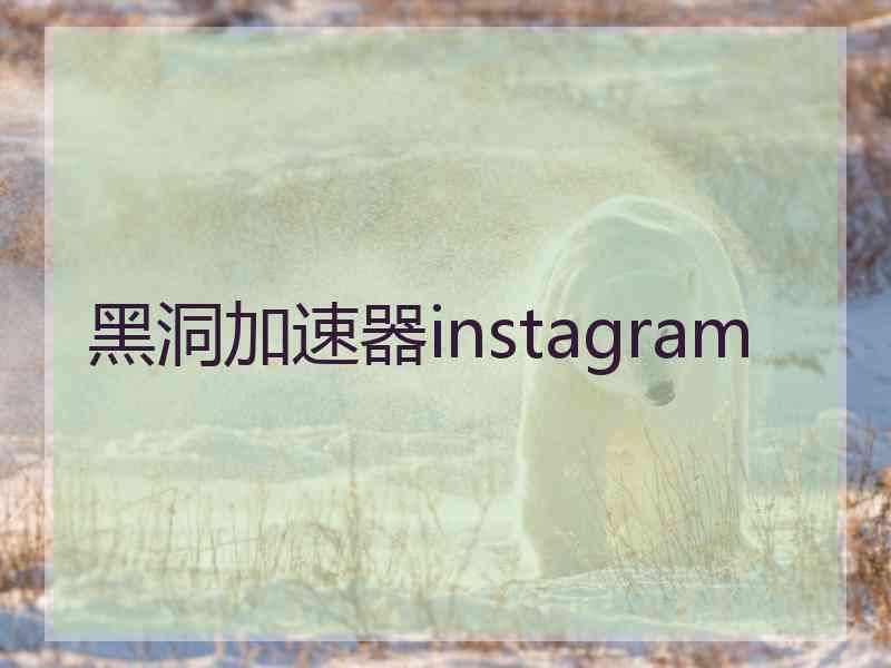 黑洞加速器instagram