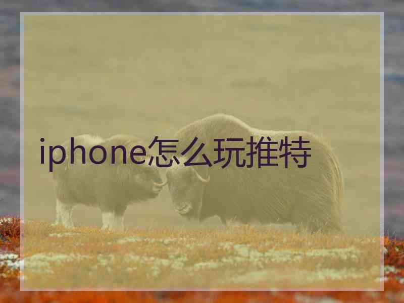 iphone怎么玩推特