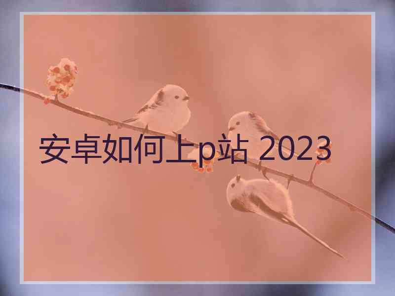 安卓如何上p站 2023