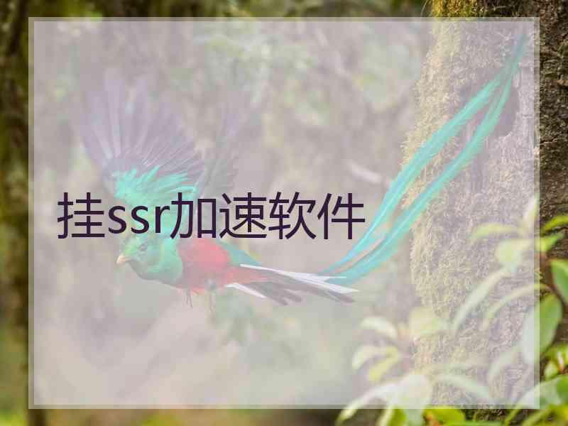 挂ssr加速软件