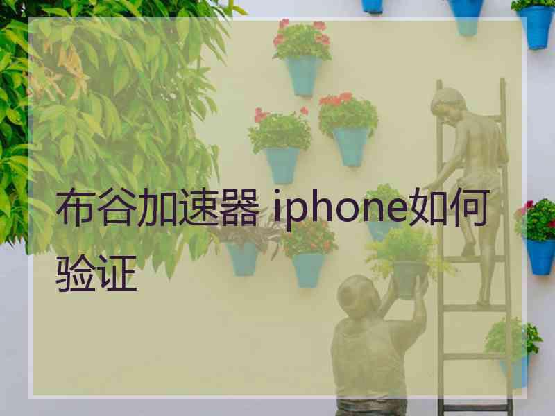 布谷加速器 iphone如何验证