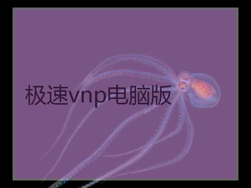 极速vnp电脑版