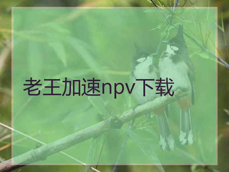 老王加速npv下载