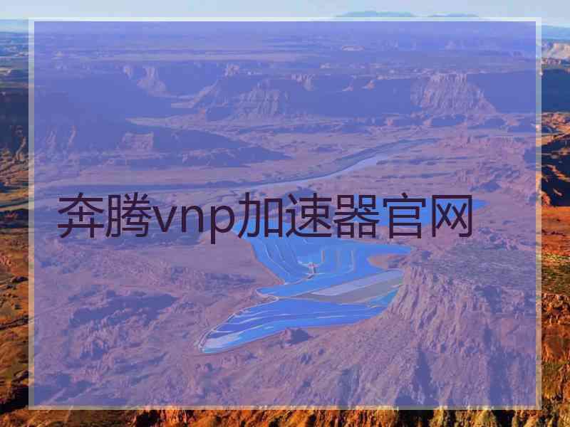 奔腾vnp加速器官网