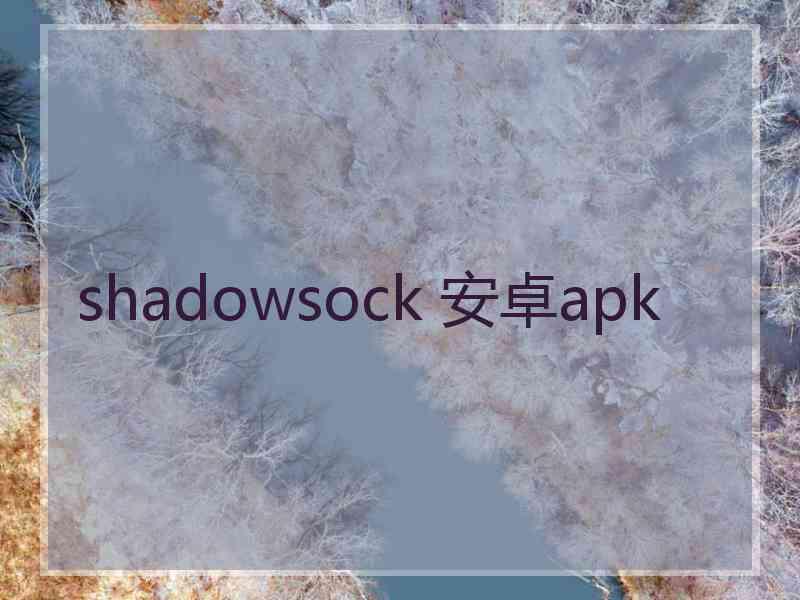 shadowsock 安卓apk