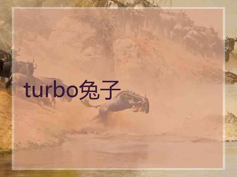 turbo兔子