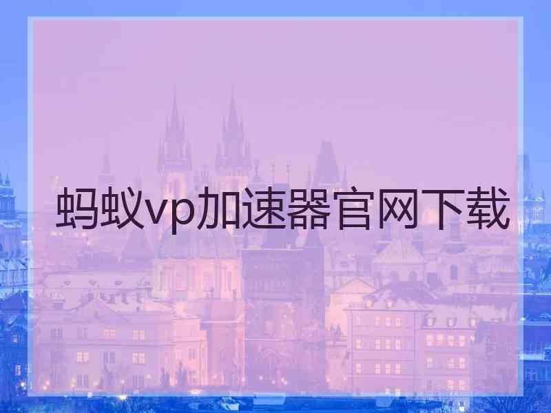 蚂蚁vp加速器官网下载