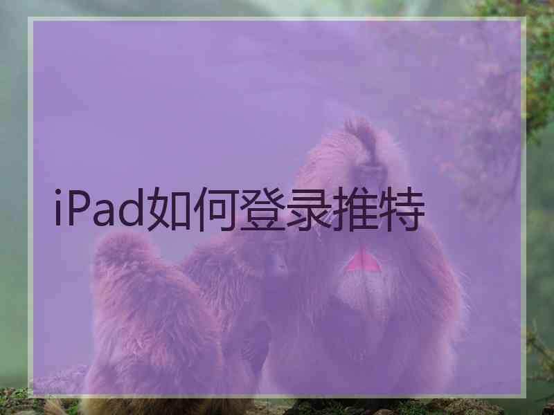 iPad如何登录推特