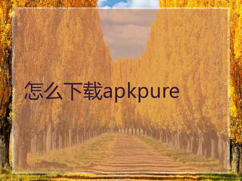 怎么下载apkpure