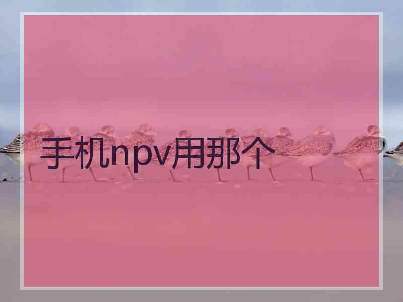 手机npv用那个