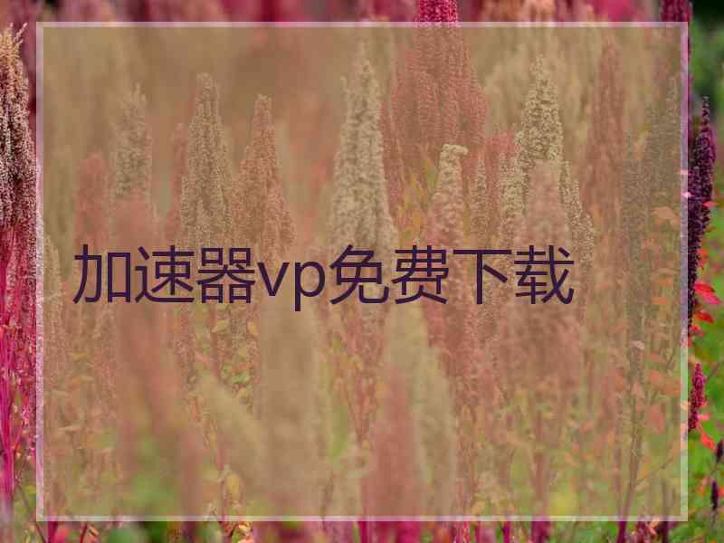 加速器vp免费下载