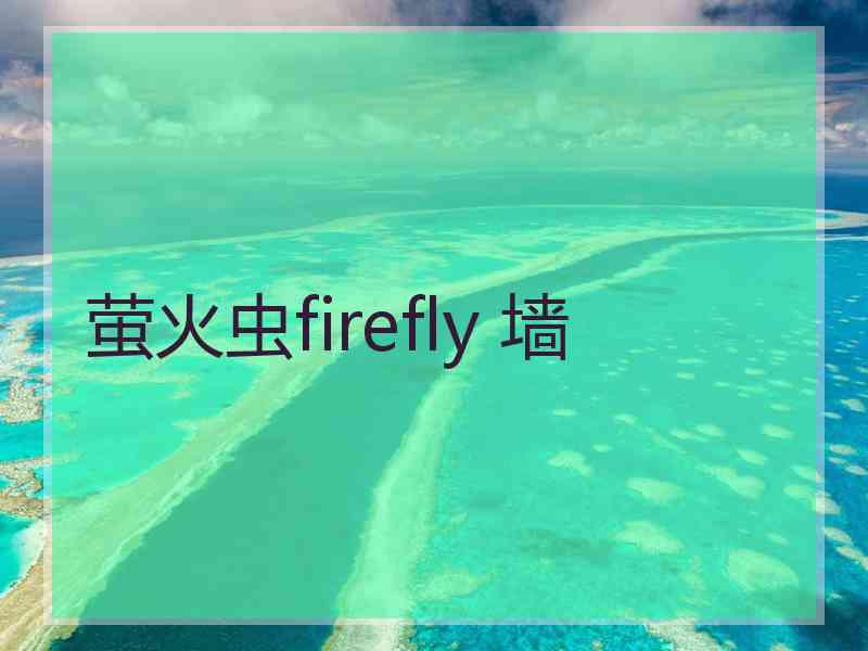 萤火虫firefly 墙