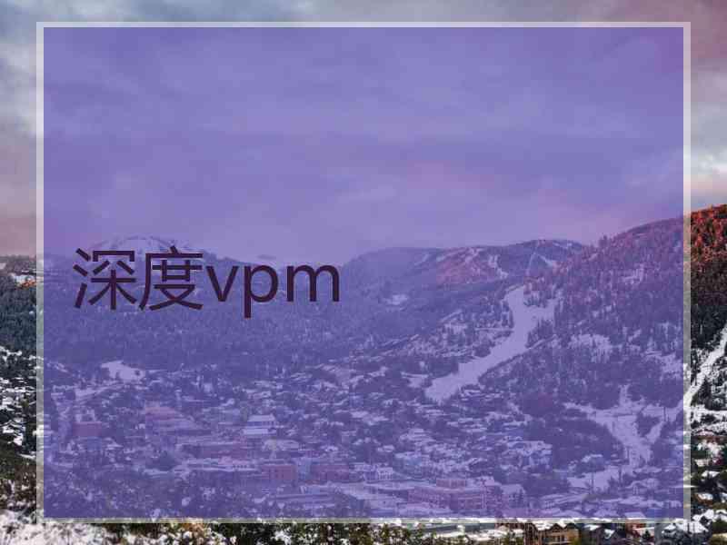 深度vpm