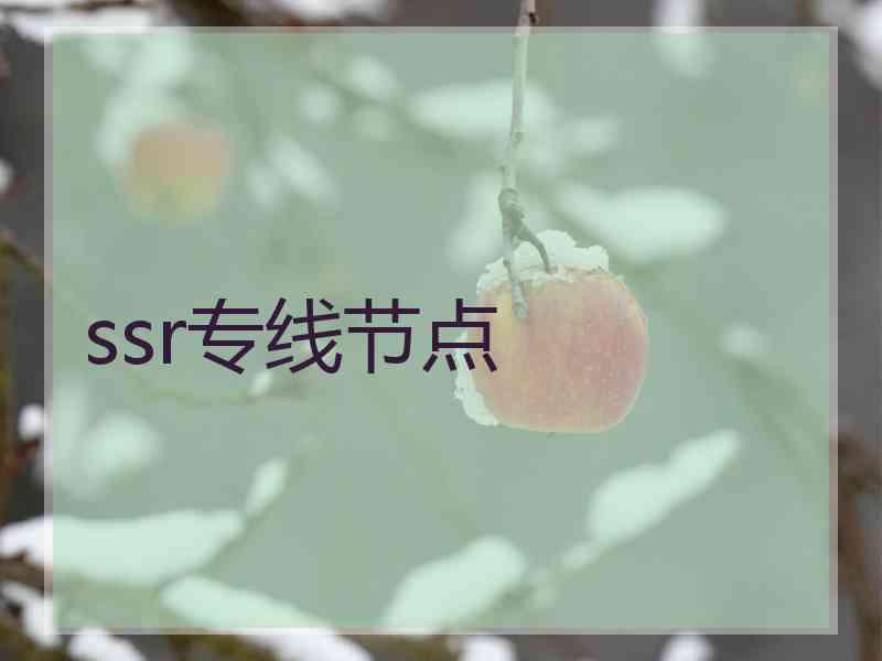 ssr专线节点