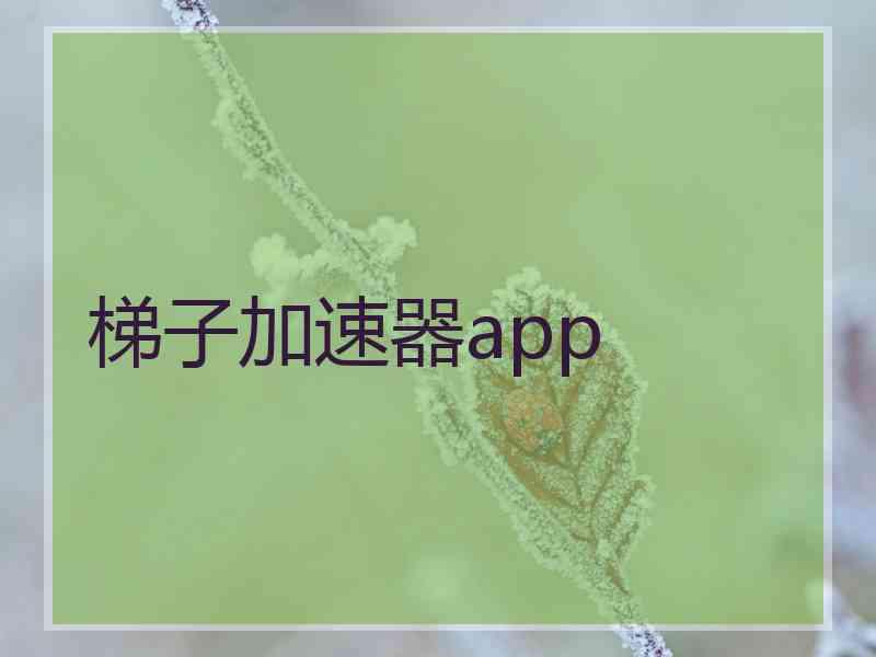 梯子加速器app