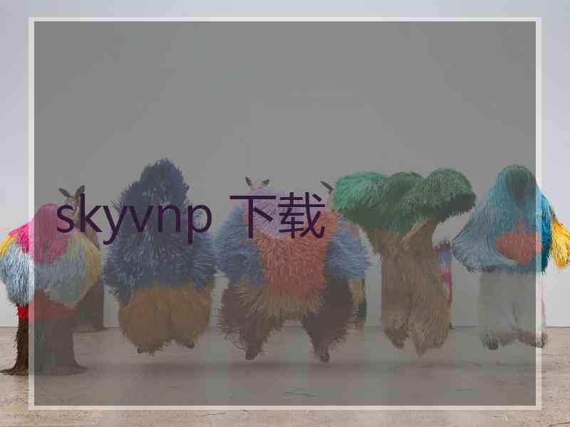 skyvnp 下载