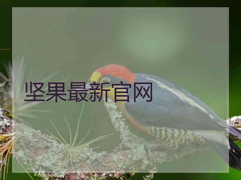 坚果最新官网