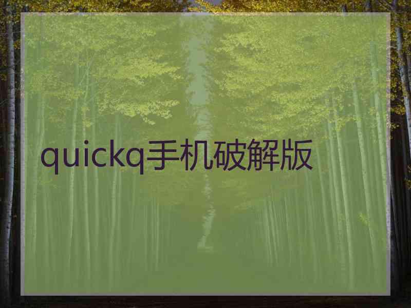 quickq手机破解版