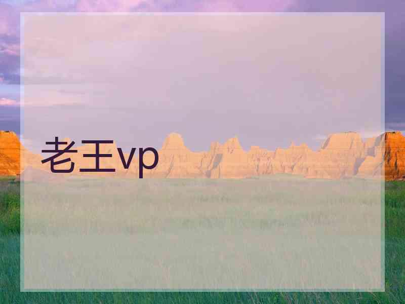 老王vp