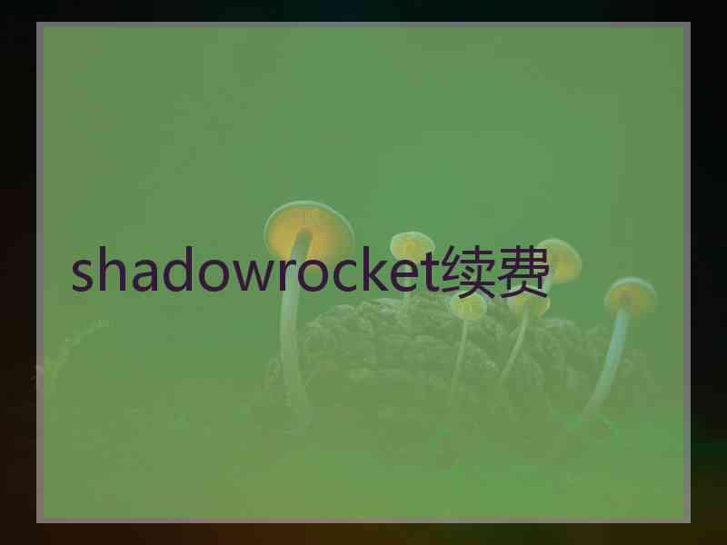 shadowrocket续费