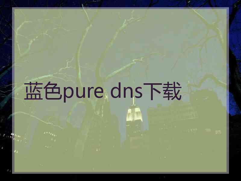 蓝色pure dns下载